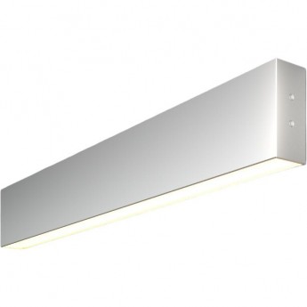 Линейный светодиодный накладной односторонний светильник ELEKTROSTANDARD 101-100-30-53 53см 10Вт 6500К серебряный Линейный светодиодный накладной односторонний светильник ELEKTROSTANDARD 101-100-30-53 53см 10Вт 6500К серебряный