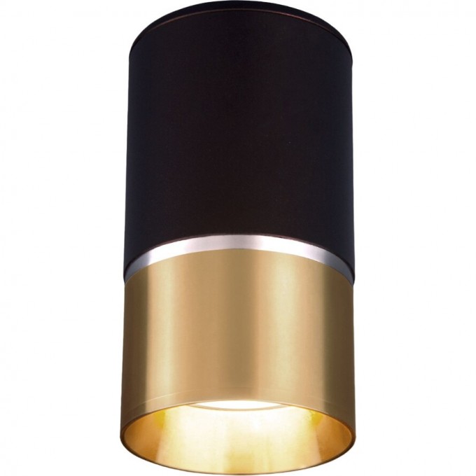 Накладной акцентный светильник ELEKTROSTANDARD DLN106 GU10 черный/золотой a047729 Накладной акцентный светильник ELEKTROSTANDARD DLN106 GU10 черный/золотой a047729