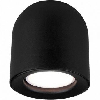 Накладной акцентный светильник ELEKTROSTANDARD DLN116 GU10 черный Накладной акцентный светильник ELEKTROSTANDARD DLN116 GU10 черный