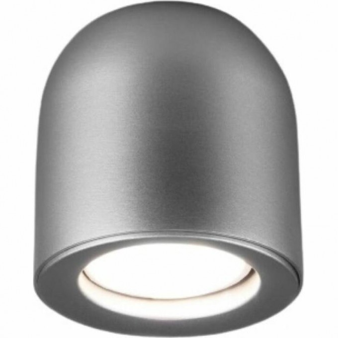 Накладной акцентный светильник ELEKTROSTANDARD DLN116 GU10 серебряный a050674 Накладной акцентный светильник ELEKTROSTANDARD DLN116 GU10 серебряный a050674