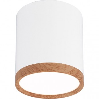 Накладной акцентный светодиодный светильник ELEKTROSTANDARD DLR024 6W 4200K белый матовый Накладной акцентный светодиодный светильник ELEKTROSTANDARD DLR024 6W 4200K белый матовый