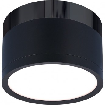 Накладной акцентный светодиодный светильник ELEKTROSTANDARD DLR029 10W 4200K черный Накладной акцентный светодиодный светильник ELEKTROSTANDARD DLR029 10W 4200K черный