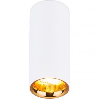 Накладной акцентный светодиодный светильник ELEKTROSTANDARD DLR030 12W 4200K белый Накладной акцентный светодиодный светильник ELEKTROSTANDARD DLR030 12W 4200K белый