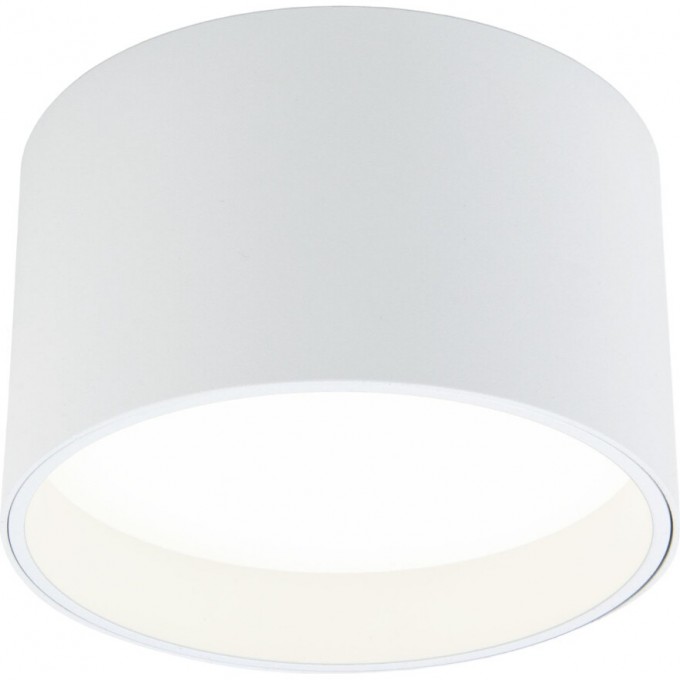 Накладной светодиодный светильник ELEKTROSTANDARD 25123/LED BANTI 13ВТ 4200K белый a058846 Накладной светодиодный светильник ELEKTROSTANDARD 25123/LED BANTI 13ВТ 4200K белый a058846