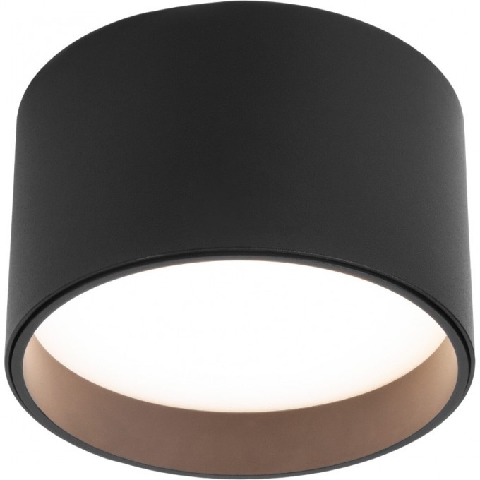 Накладной светодиодный светильник ELEKTROSTANDARD 25123/LED BANTI 13ВТ 4200K черный a058847 Накладной светодиодный светильник ELEKTROSTANDARD 25123/LED BANTI 13ВТ 4200K черный a058847