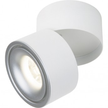 Накладной светодиодный светильник ELEKTROSTANDARD DLR031 15W 4200K 3100 белый/серебряный Накладной светодиодный светильник ELEKTROSTANDARD DLR031 15W 4200K 3100 белый/серебряный