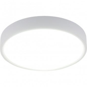 Накладной светодиодный светильник ELEKTROSTANDARD DLR034 18W 4200K Накладной светодиодный светильник ELEKTROSTANDARD DLR034 18W 4200K