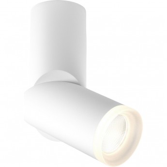 Накладной светодиодный светильник ELEKTROSTANDARD DLR036 12W 4200K белый Накладной светодиодный светильник ELEKTROSTANDARD DLR036 12W 4200K белый