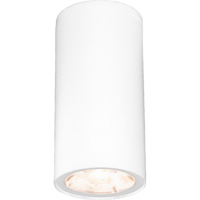 Накладной светодиодный влагозащищенный светильник ELEKTROSTANDARD LIGHT LED 2102 IP65 35129/H белый a056257 Накладной светодиодный влагозащищенный светильник ELEKTROSTANDARD LIGHT LED 2102 IP65 35129/H белый a056257