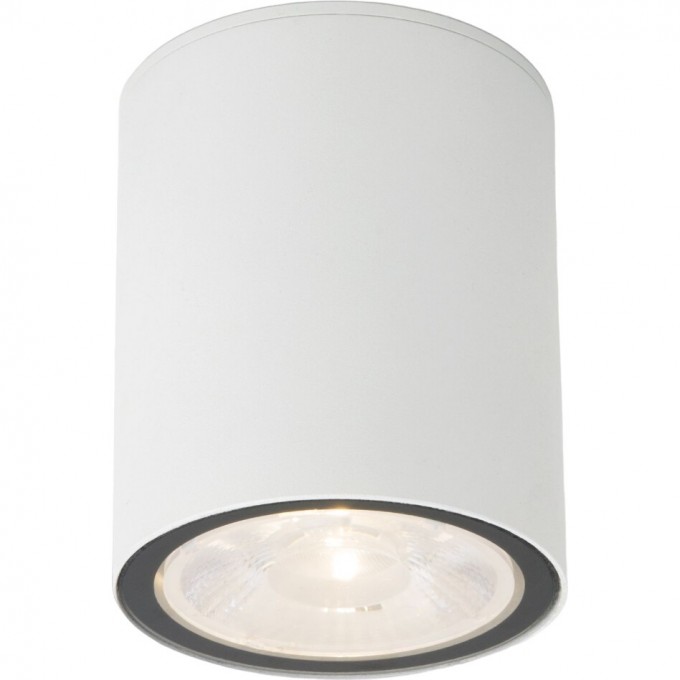 Накладной светодиодный влагозащищенный светильник ELEKTROSTANDARD LIGHT LED 2103 IP65 35131/H белый a056230 Накладной светодиодный влагозащищенный светильник ELEKTROSTANDARD LIGHT LED 2103 IP65 35131/H белый a056230
