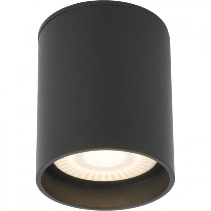 Накладной светодиодный влагозащищенный светильник ELEKTROSTANDARD LIGHT LED 2104 IP54 35130/H серый a056270 Накладной светодиодный влагозащищенный светильник ELEKTROSTANDARD LIGHT LED 2104 IP54 35130/H серый a056270
