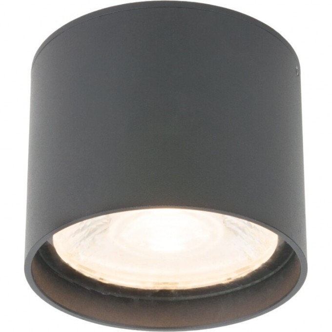 Накладной светодиодный влагозащищенный светильник ELEKTROSTANDARD LIGHT LED 2105 IP54 35132/H серый a056271 Накладной светодиодный влагозащищенный светильник ELEKTROSTANDARD LIGHT LED 2105 IP54 35132/H серый a056271