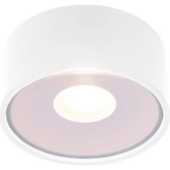 Накладной светодиодный влагозащищенный светильник ELEKTROSTANDARD LIGHT LED 2135 IP65 35141/H белый Накладной светодиодный влагозащищенный светильник ELEKTROSTANDARD LIGHT LED 2135 IP65 35141/H белый