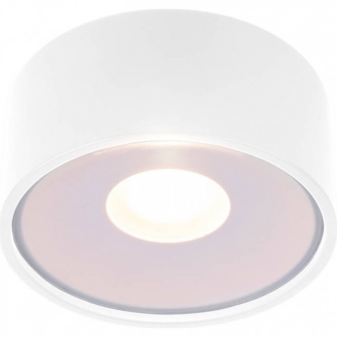 Накладной светодиодный влагозащищенный светильник ELEKTROSTANDARD LIGHT LED 2135 IP65 35141/H белый a057471 Накладной светодиодный влагозащищенный светильник ELEKTROSTANDARD LIGHT LED 2135 IP65 35141/H белый a057471
