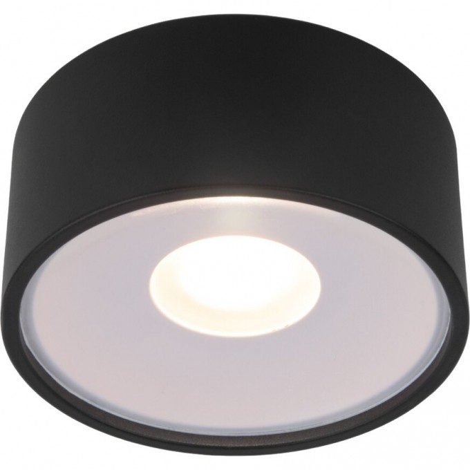 Накладной светодиодный влагозащищенный светильник ELEKTROSTANDARD LIGHT LED 2135 IP65 35141/H черный a057470 Накладной светодиодный влагозащищенный светильник ELEKTROSTANDARD LIGHT LED 2135 IP65 35141/H черный a057470