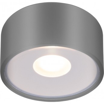 Накладной светодиодный влагозащищенный светильник ELEKTROSTANDARD LIGHT LED 2135 IP65 35141/H серый Накладной светодиодный влагозащищенный светильник ELEKTROSTANDARD LIGHT LED 2135 IP65 35141/H серый