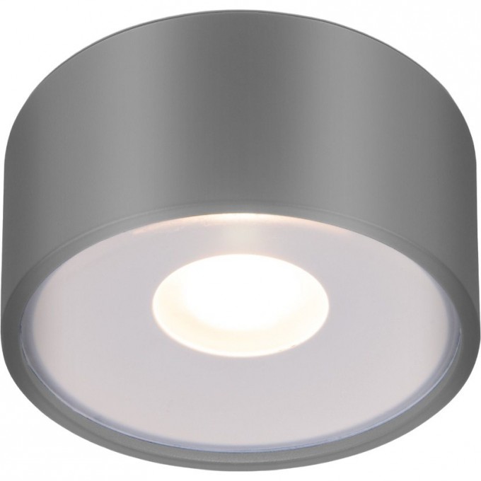 Накладной светодиодный влагозащищенный светильник ELEKTROSTANDARD LIGHT LED 2135 IP65 35141/H серый a057472 Накладной светодиодный влагозащищенный светильник ELEKTROSTANDARD LIGHT LED 2135 IP65 35141/H серый a057472