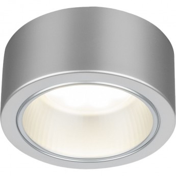 Накладной точечный светильник ELEKTROSTANDARD 1070 GX53 SL серебряный