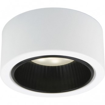 Накладной точечный светильник ELEKTROSTANDARD 1070 GX53 WH/BK белый/черный