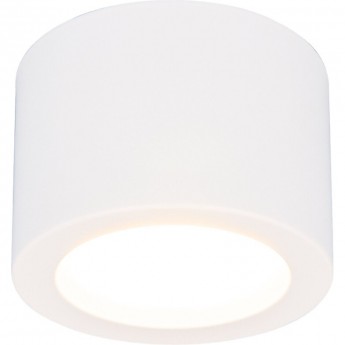 Накладной точечный светодиодный светильник ELEKTROSTANDARD DLR026 6W 4200K белый Накладной точечный светодиодный светильник ELEKTROSTANDARD DLR026 6W 4200K белый