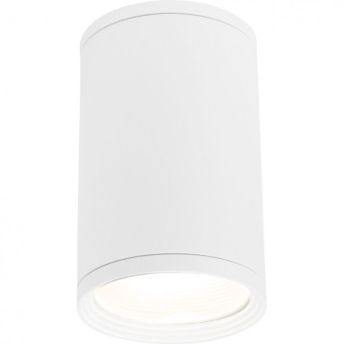 Накладной влагозащищенный светильник ELEKTROSTANDARD LIGHT 2101 IP65 35128/H белый a056333 Накладной влагозащищенный светильник ELEKTROSTANDARD LIGHT 2101 IP65 35128/H белый a056333