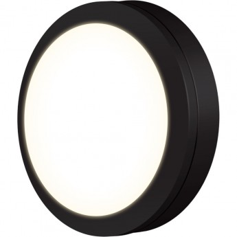 Пылевлагозащищенный светодиодный светильник ELEKTROSTANDARD LTB51 4200К черный