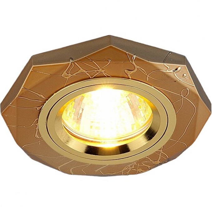 Светильник ELEKTROSTANDARD 2040 золотой (GD) SC 2040/2 a024076 Светильник ELEKTROSTANDARD 2040 золотой (GD) SC 2040/2 a024076