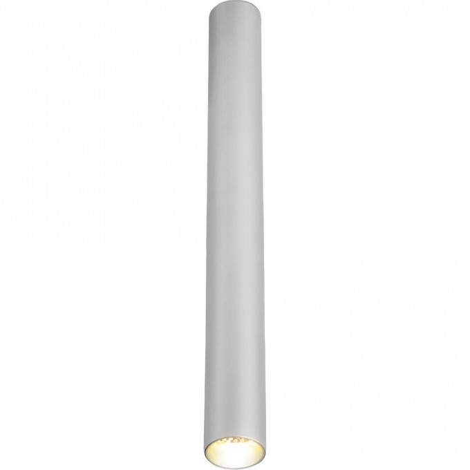 Светильник ELEKTROSTANDARD Pika 6W (25030/LED) серебро a061121 Светильник ELEKTROSTANDARD Pika 6W (25030/LED) серебро a061121