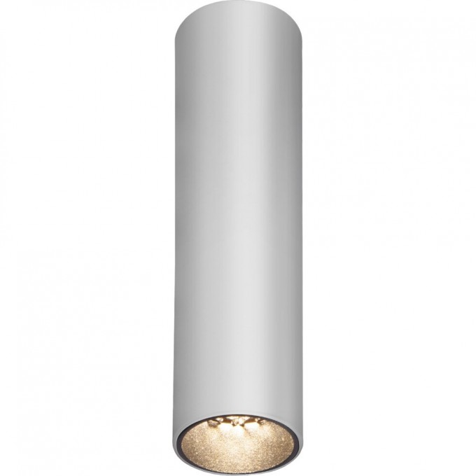 Светильник ELEKTROSTANDARD Pika 6W (25031/LED) серебро a061535 Светильник ELEKTROSTANDARD Pika 6W (25031/LED) серебро a061535