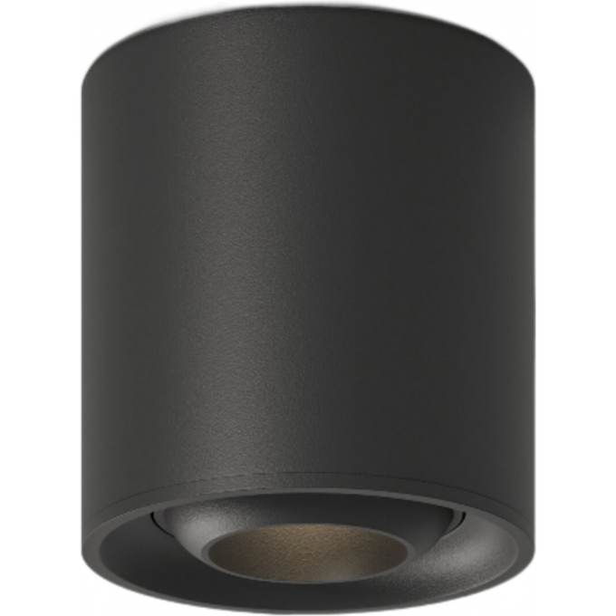 Светильник потолочный светодиодный ELEKTROSTANDARD 25041 LED 10W чёрный a062935 Светильник потолочный светодиодный ELEKTROSTANDARD 25041 LED 10W чёрный a062935