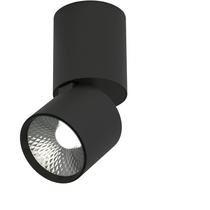 Светильник потолочный светодиодный ELEKTROSTANDARD 25042 LED 10W 4000K чёрный a063680 Светильник потолочный светодиодный ELEKTROSTANDARD 25042 LED 10W 4000K чёрный a063680