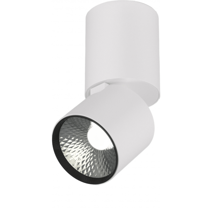 Светильник потолочный светодиодный ELEKTROSTANDARD 25042LED 10W 4000K белый a063679 Светильник потолочный светодиодный ELEKTROSTANDARD 25042LED 10W 4000K белый a063679