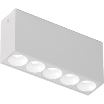 Светильник потолочный светодиодный ELEKTROSTANDARD 25108/LED 10W 4000K белый