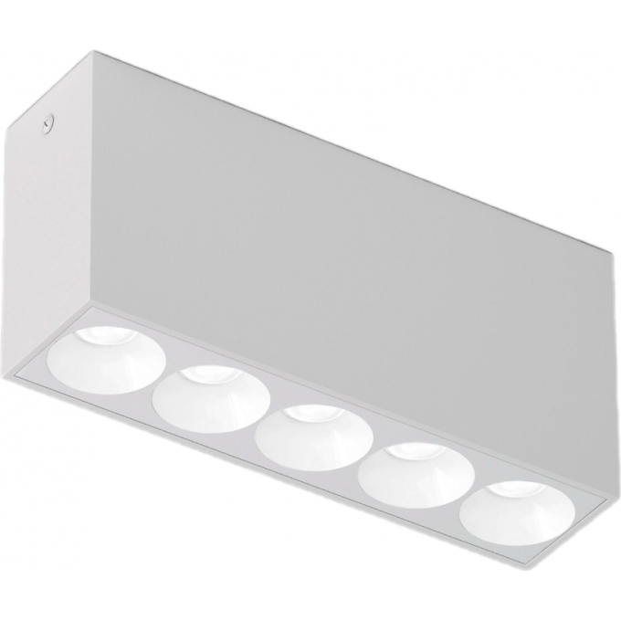 Светильник потолочный светодиодный ELEKTROSTANDARD 25108/LED 10W 4000K белый a066991 Светильник потолочный светодиодный ELEKTROSTANDARD 25108/LED 10W 4000K белый a066991