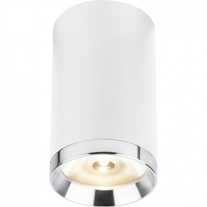 Трековый светильник ELEKTROSTANDARD 10W 4200K Ringe Slim Magnetic R06 (белый/серебро) 85506/01 a061299 Трековый светильник ELEKTROSTANDARD 10W 4200K Ringe Slim Magnetic R06 (белый/серебро) 85506/01 a061299