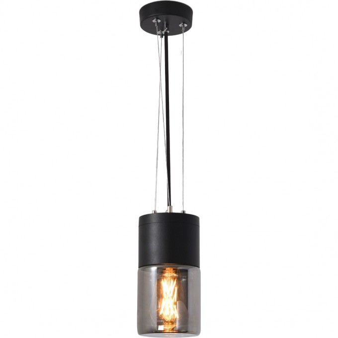 Уличный подвесной светодиодный светильник ELEKTROSTANDARD ROIL 35125/H IP54 черный a055634 Уличный подвесной светодиодный светильник ELEKTROSTANDARD ROIL 35125/H IP54 черный a055634