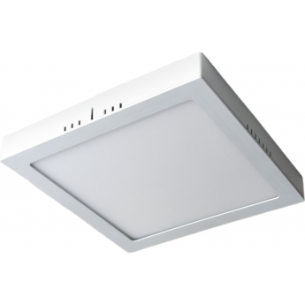 Универсальный накладной/встраиваемый светильник ELEKTROSTANDARD DLS020 24W 4200K потолочный светодиодный